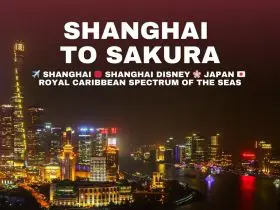 Shanghai to Sakura - Magical Traveller Hosted Tour