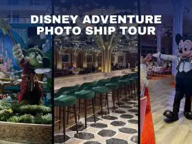 Disney Adventure Photo Ship Tour