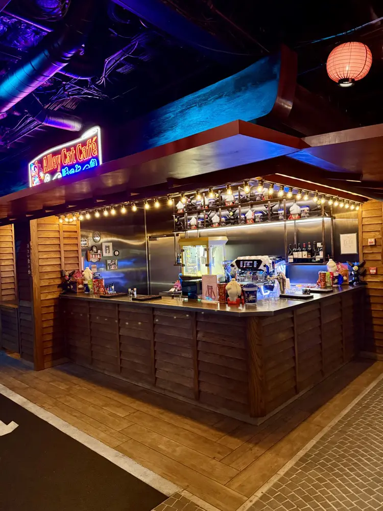 Ally Cat Cafe - Disney Adventure.