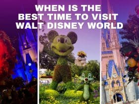 When is the best Time to Visit Walt Disney World