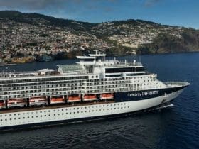 largest cruise ship top 10