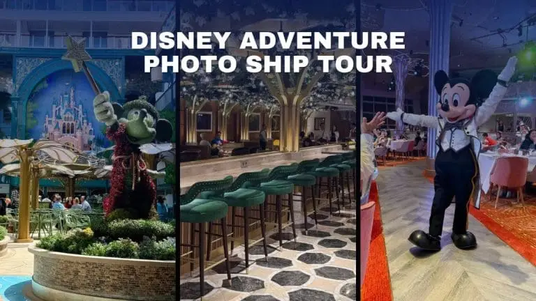 Disney Adventure Photo Ship Tour