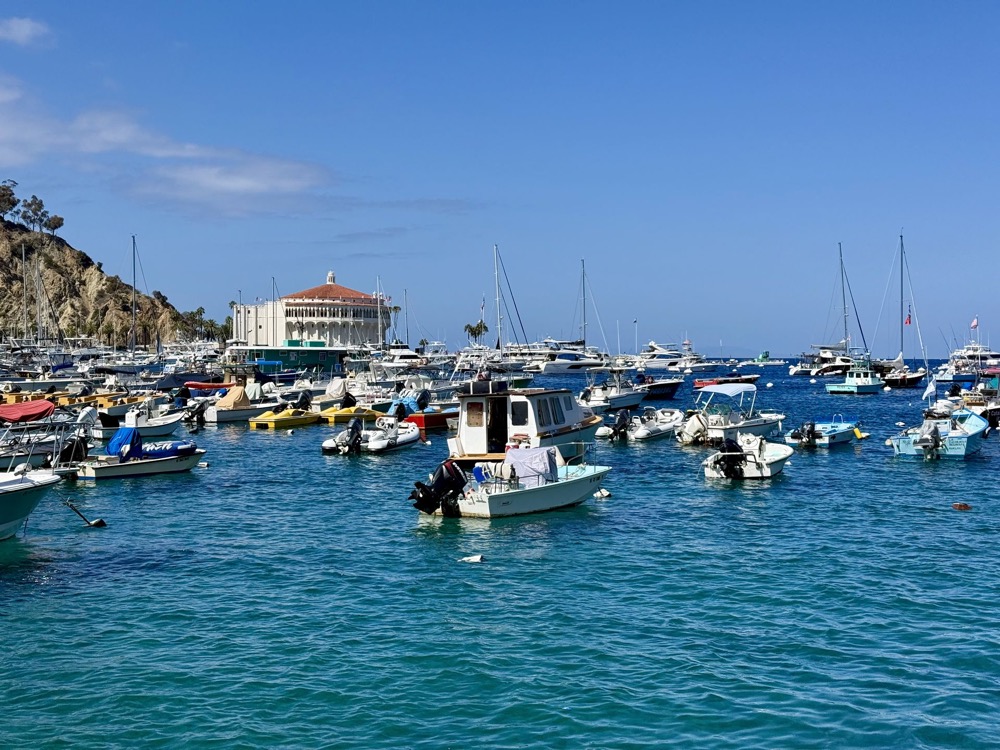 Boats in Avalon harbour with the Catalina Casino in the background