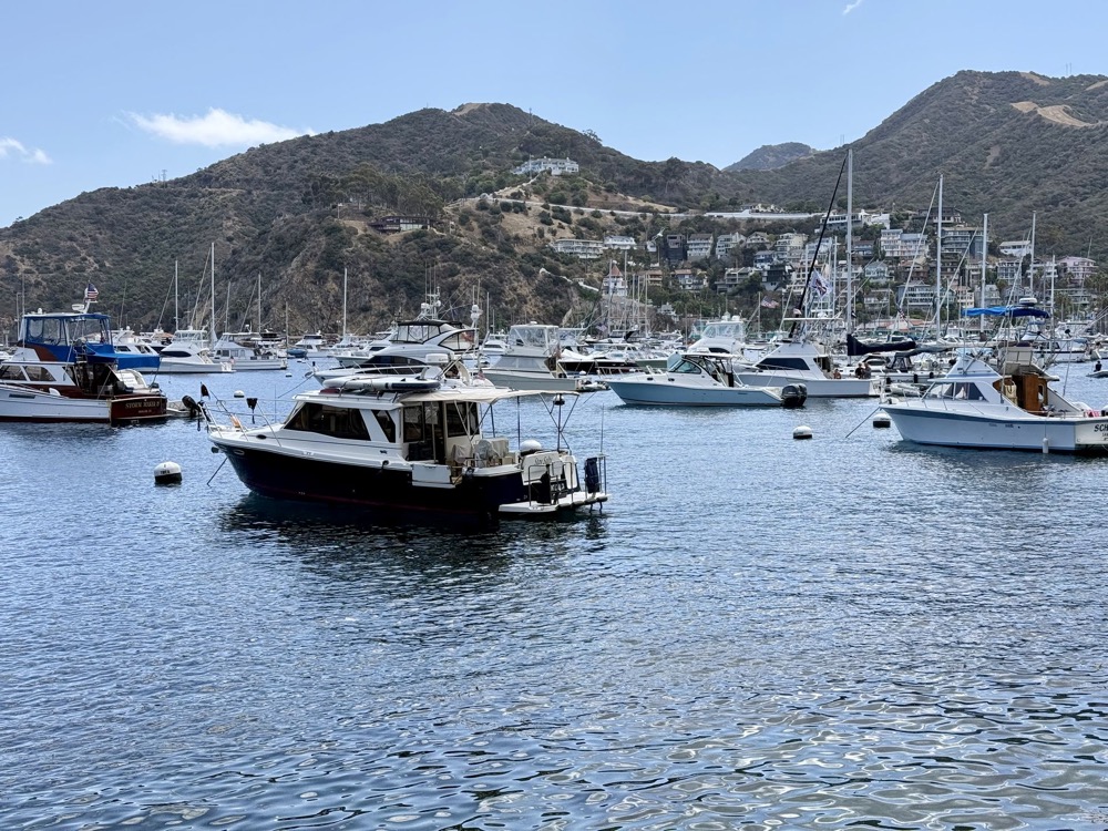 Boats in Avalon harbour, Catalina Island
