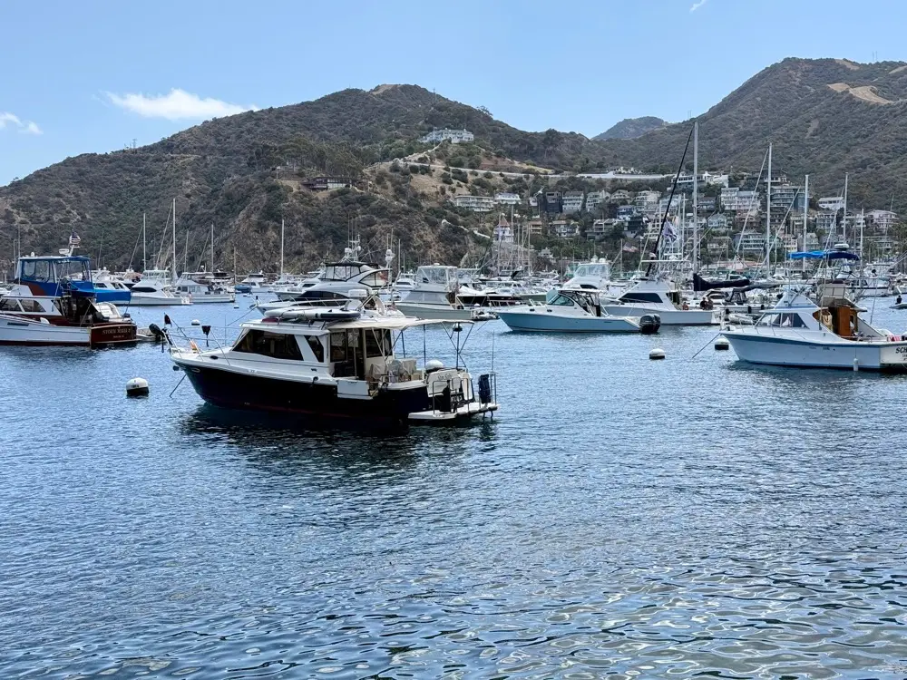 Boats in Avalon harbour, Catalina Island