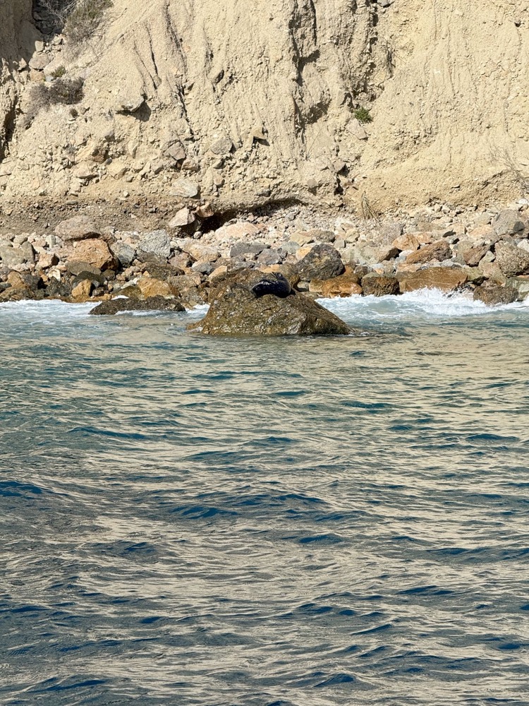Rugged coastline of Catalina Island