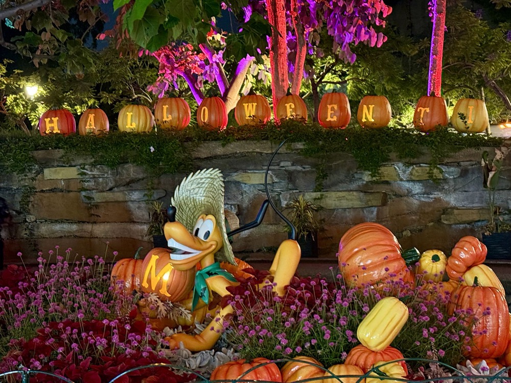 Halloween pumpkin display at the Disneyland Resort