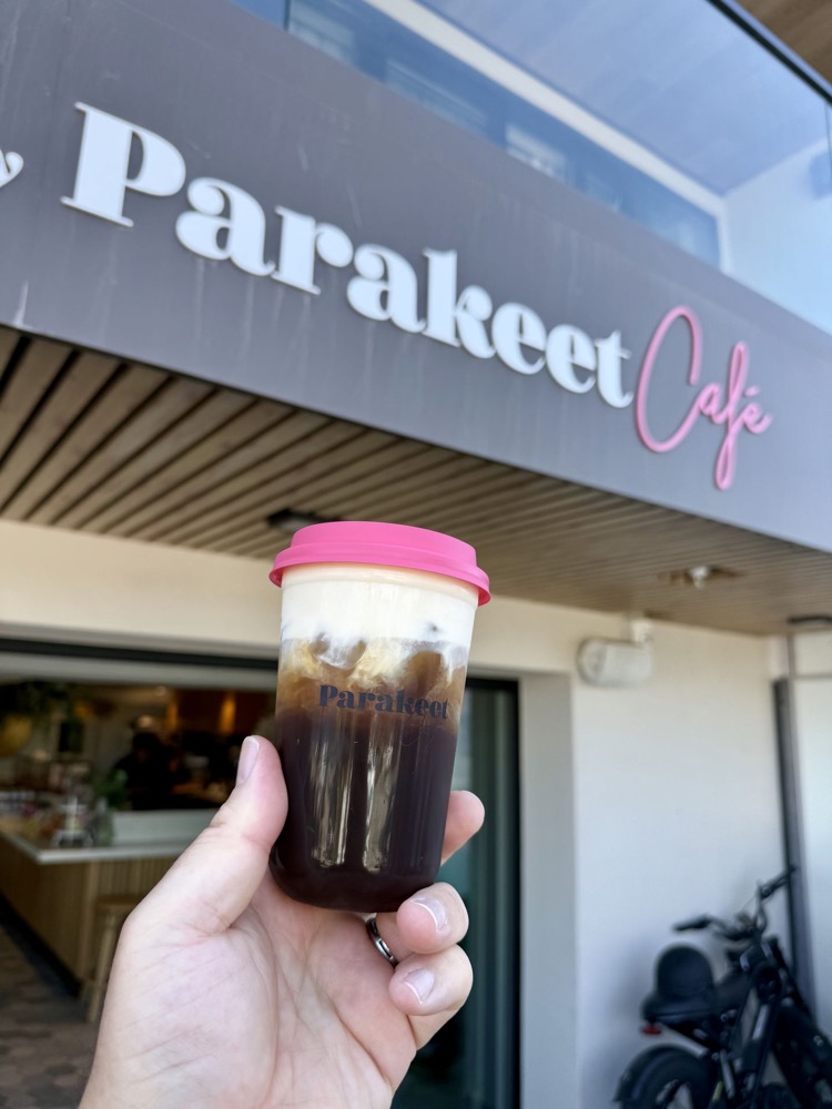 Iced coffee at Parakeet Cafe, La Jolla