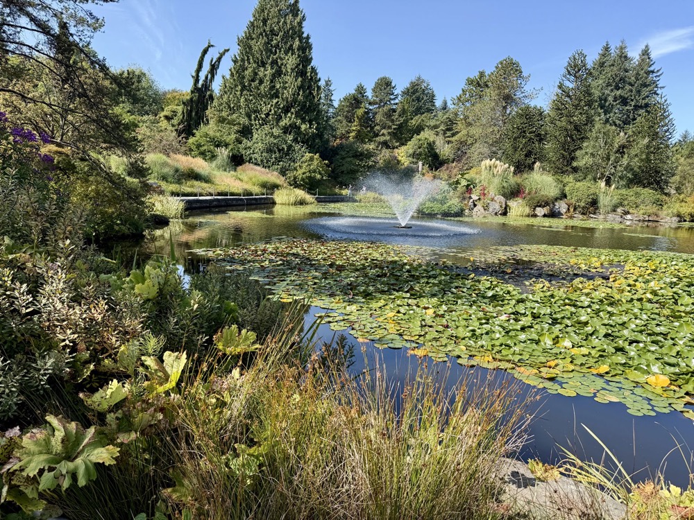 Lily pond and fountain at VanDusen Botanical Garden, Vancouver