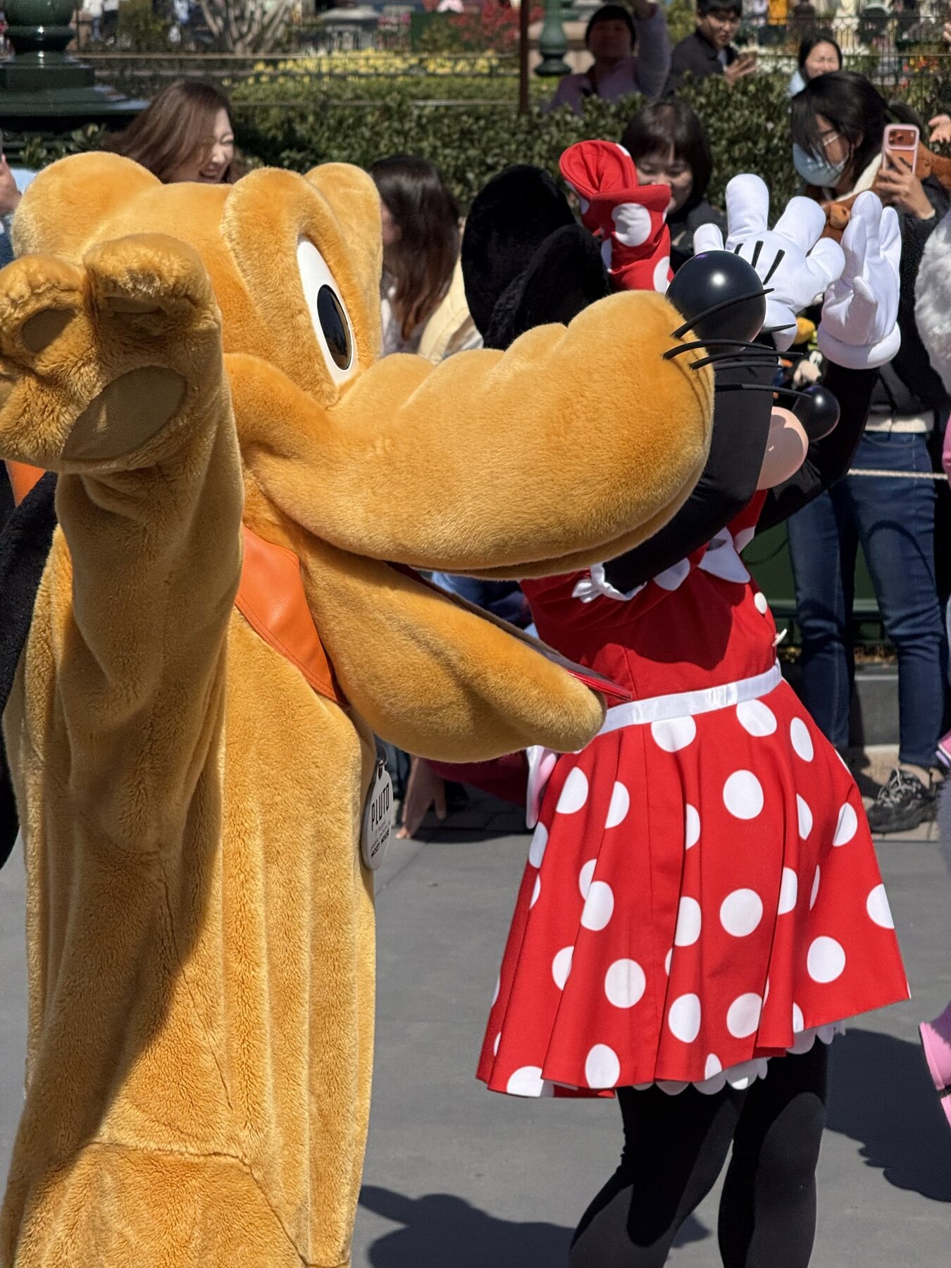 Minnie and Pluto say hello