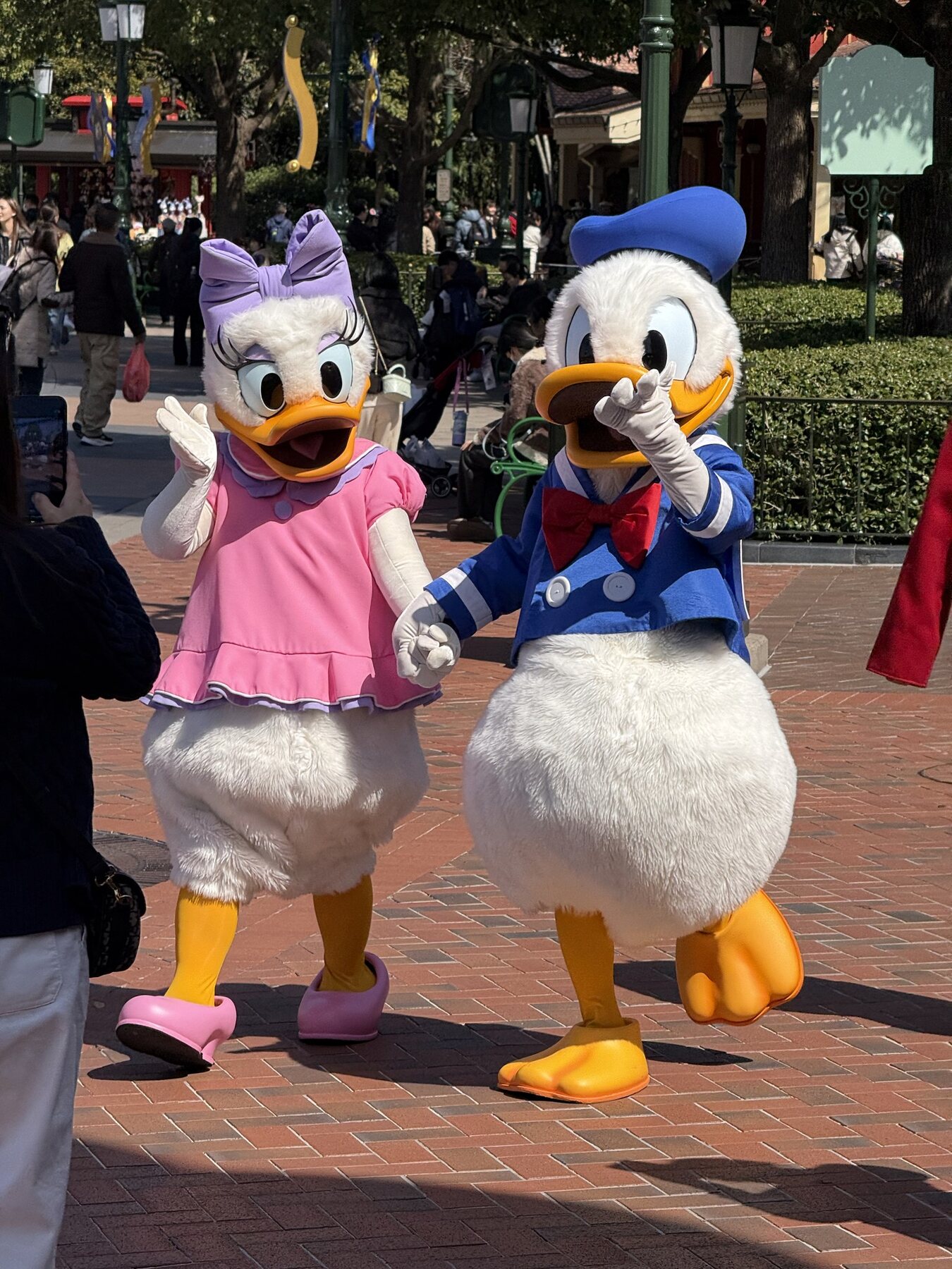 Daisy and Donald