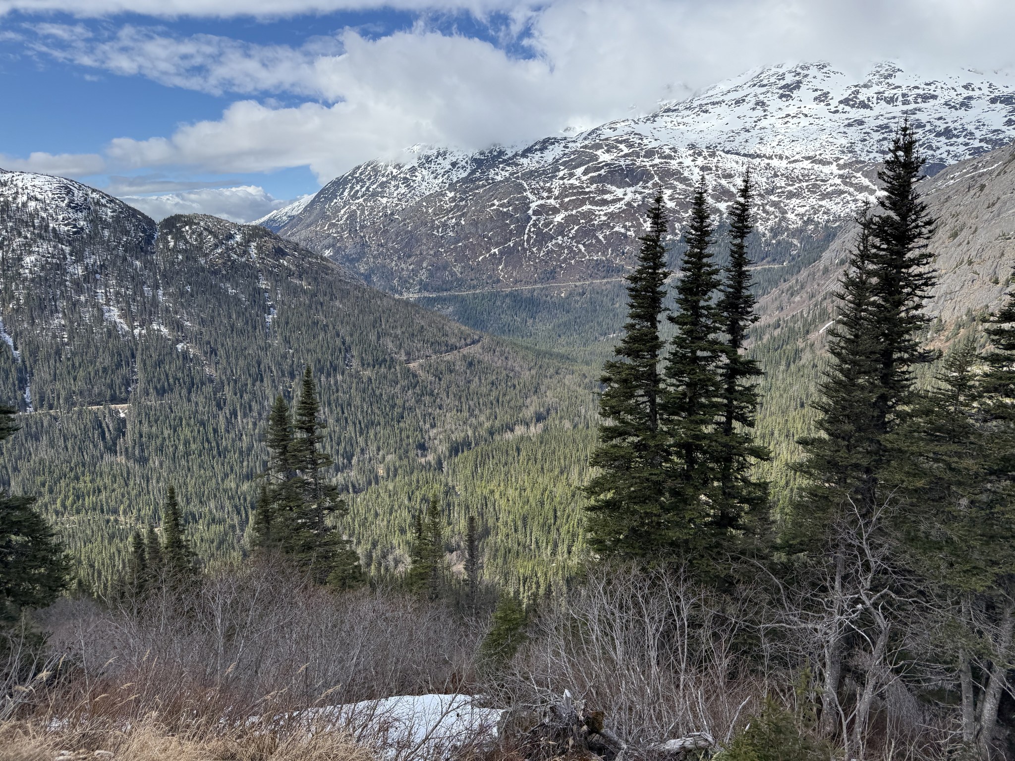 Snow-capped mountains and pine forest seen from the White Pass railway, Skagway