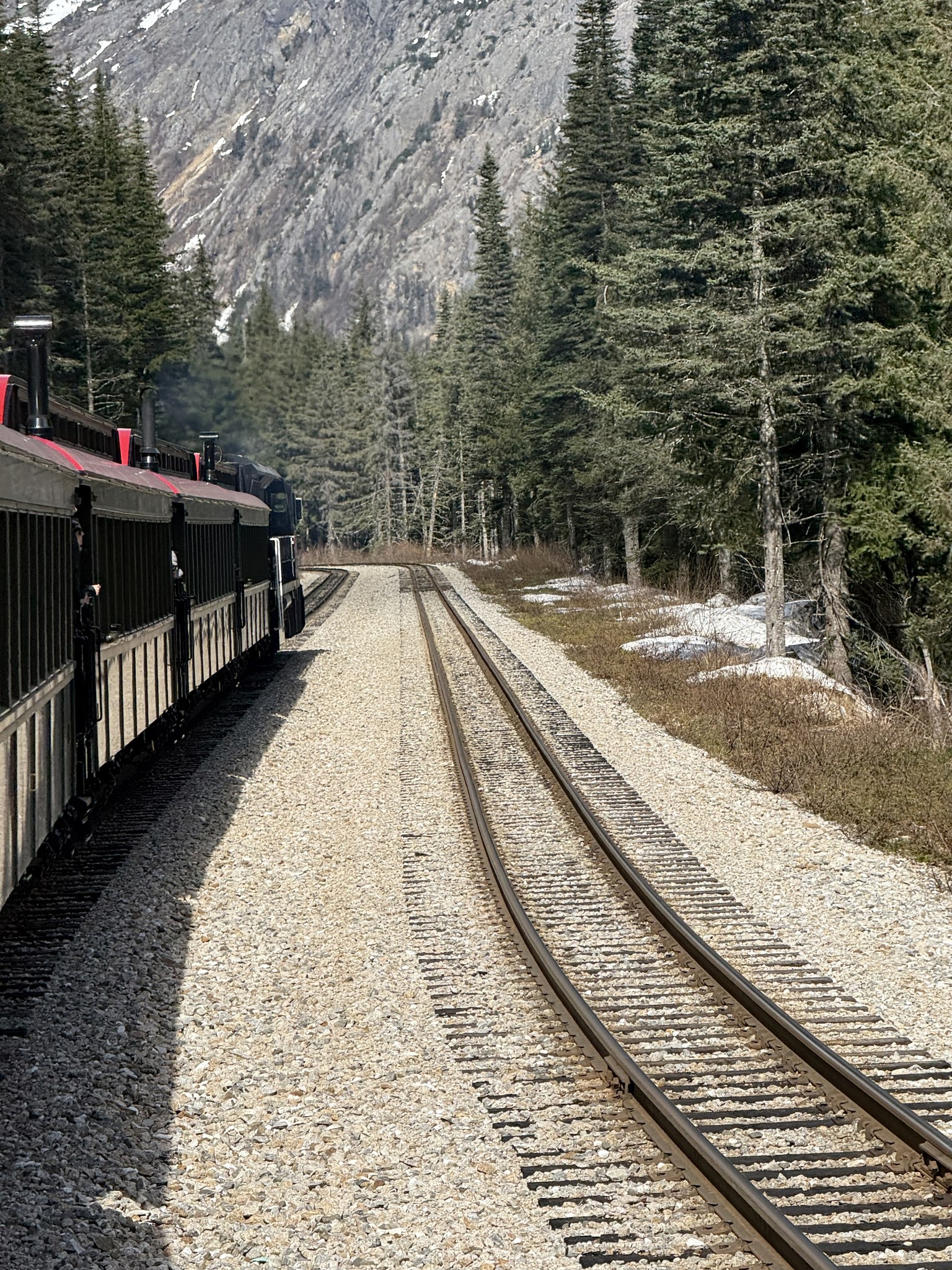 Vintage White Pass and Yukon Route railway carriages on the line down to Skagway
