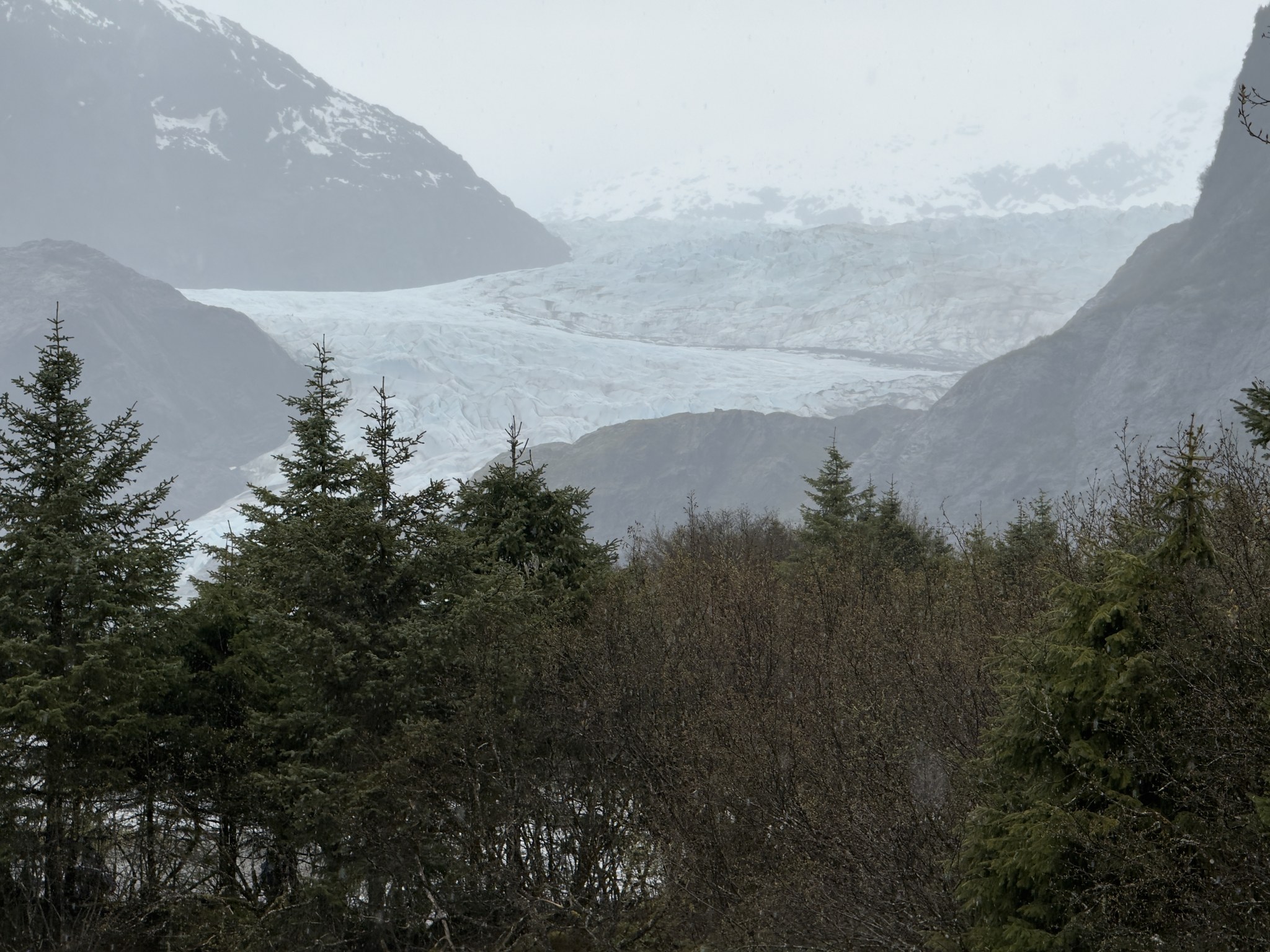 Mendenhall Glacier flowing down the valley above the forest, Juneau