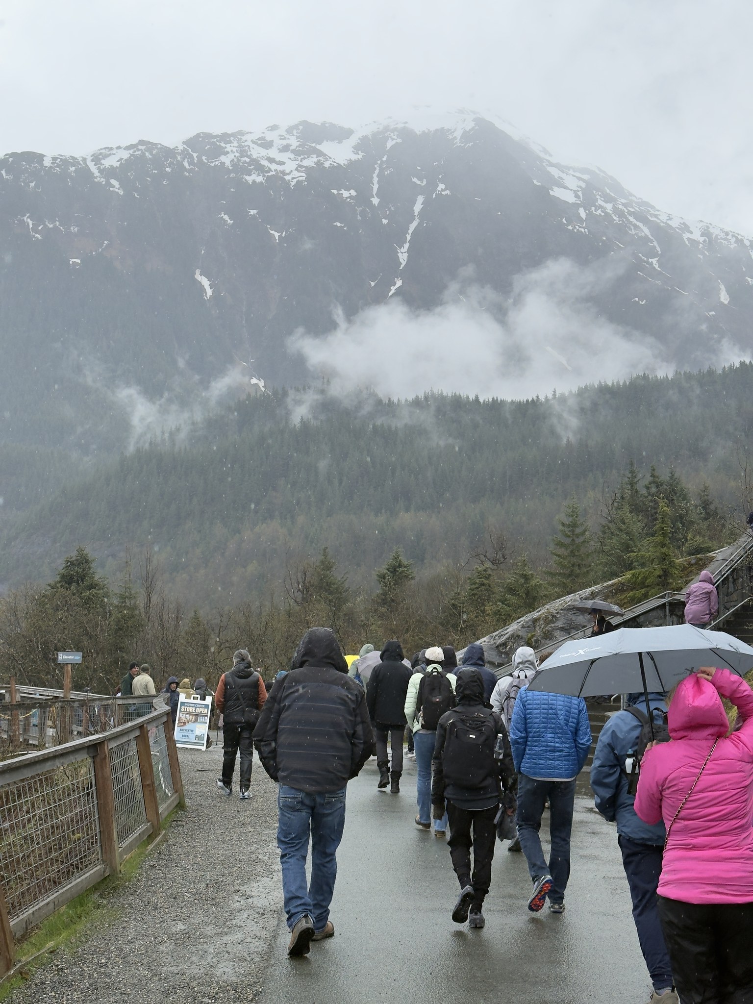 Visitors with umbrellas at the Mendenhall Glacier viewpoints in the rain