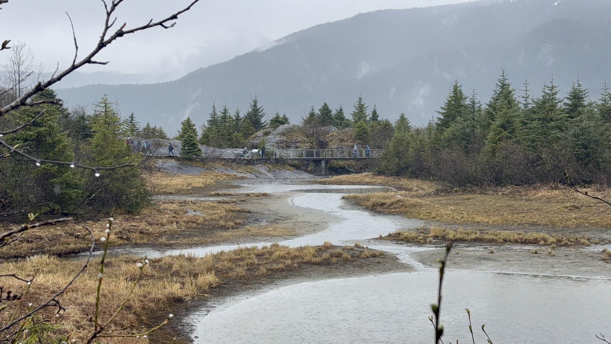 Streams and wetlands in the Mendenhall Valley near the glacier