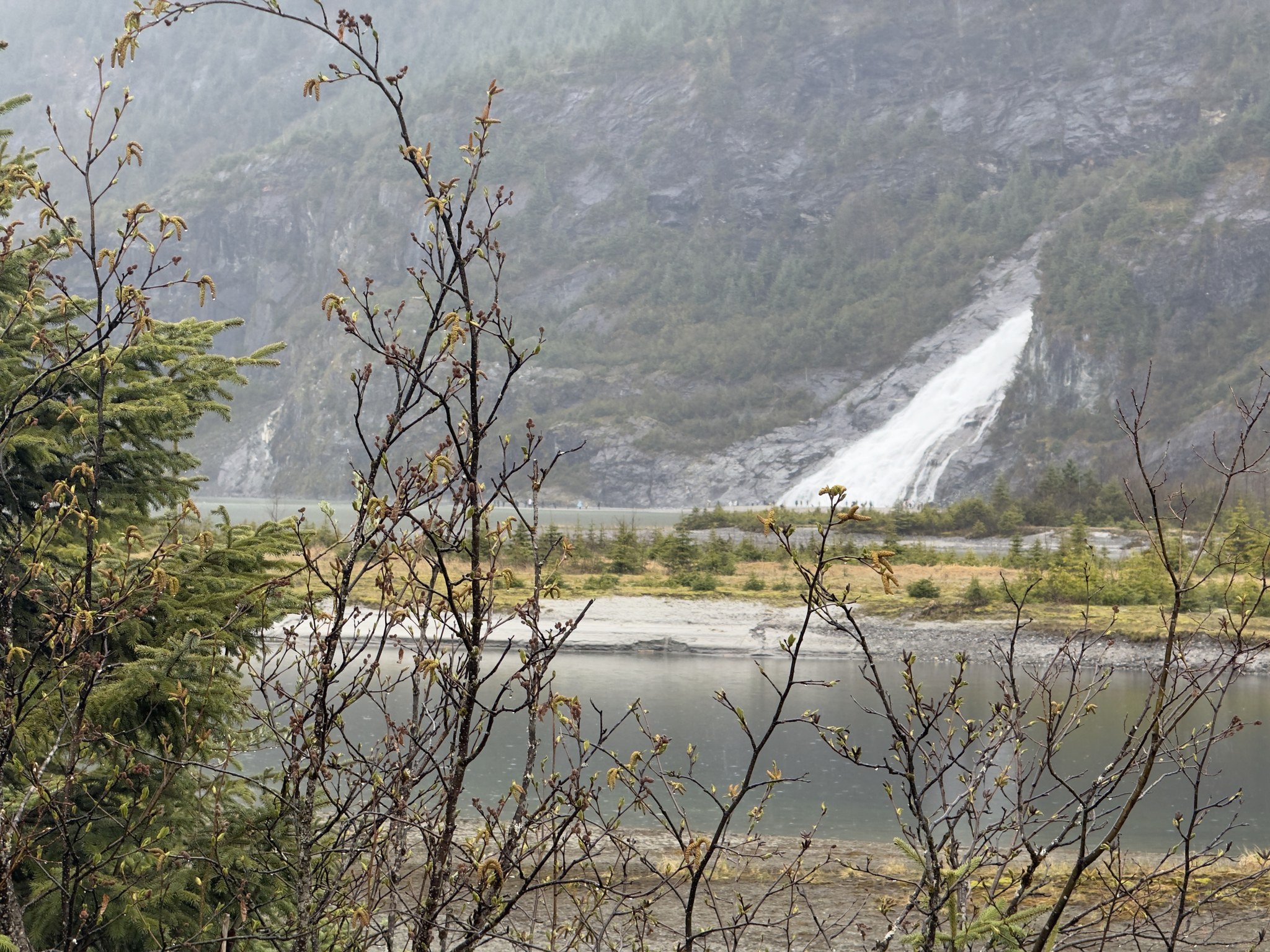 Nugget Falls tumbling down beside Mendenhall Lake, Juneau