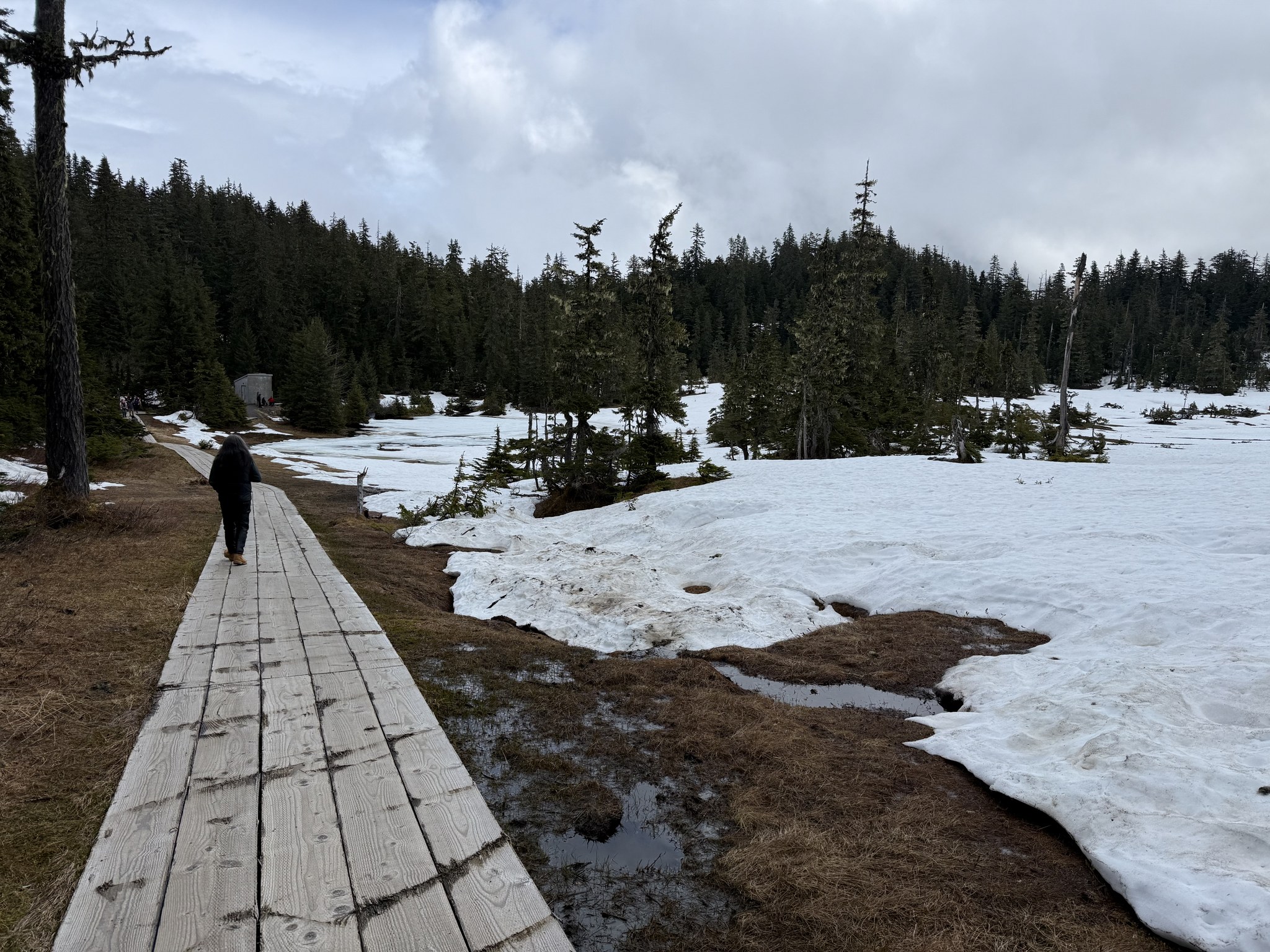 Boardwalk nature trail through snow at the top of Hoonah Mountain in May