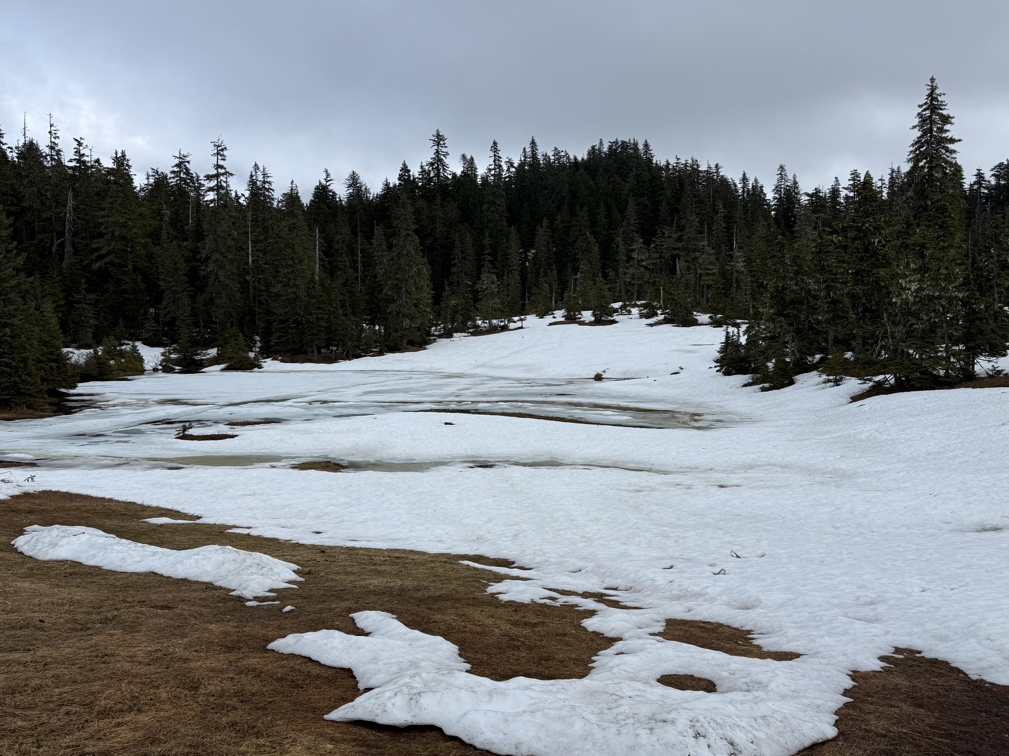 Frozen lake and snow on the mountaintop nature trail at Icy Strait Point