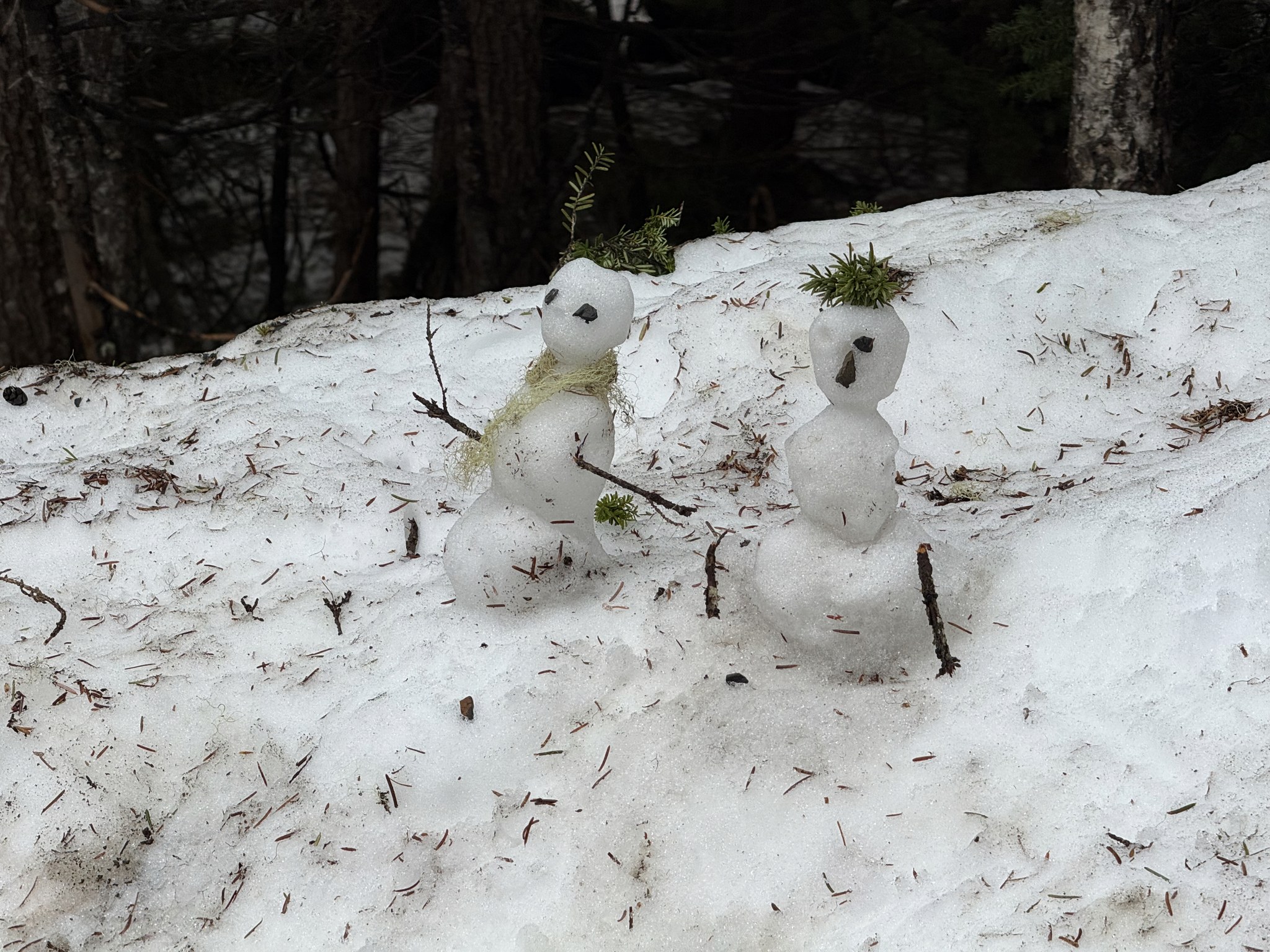 Tiny snowmen left by visitors along the mountaintop trail at Icy Strait Point