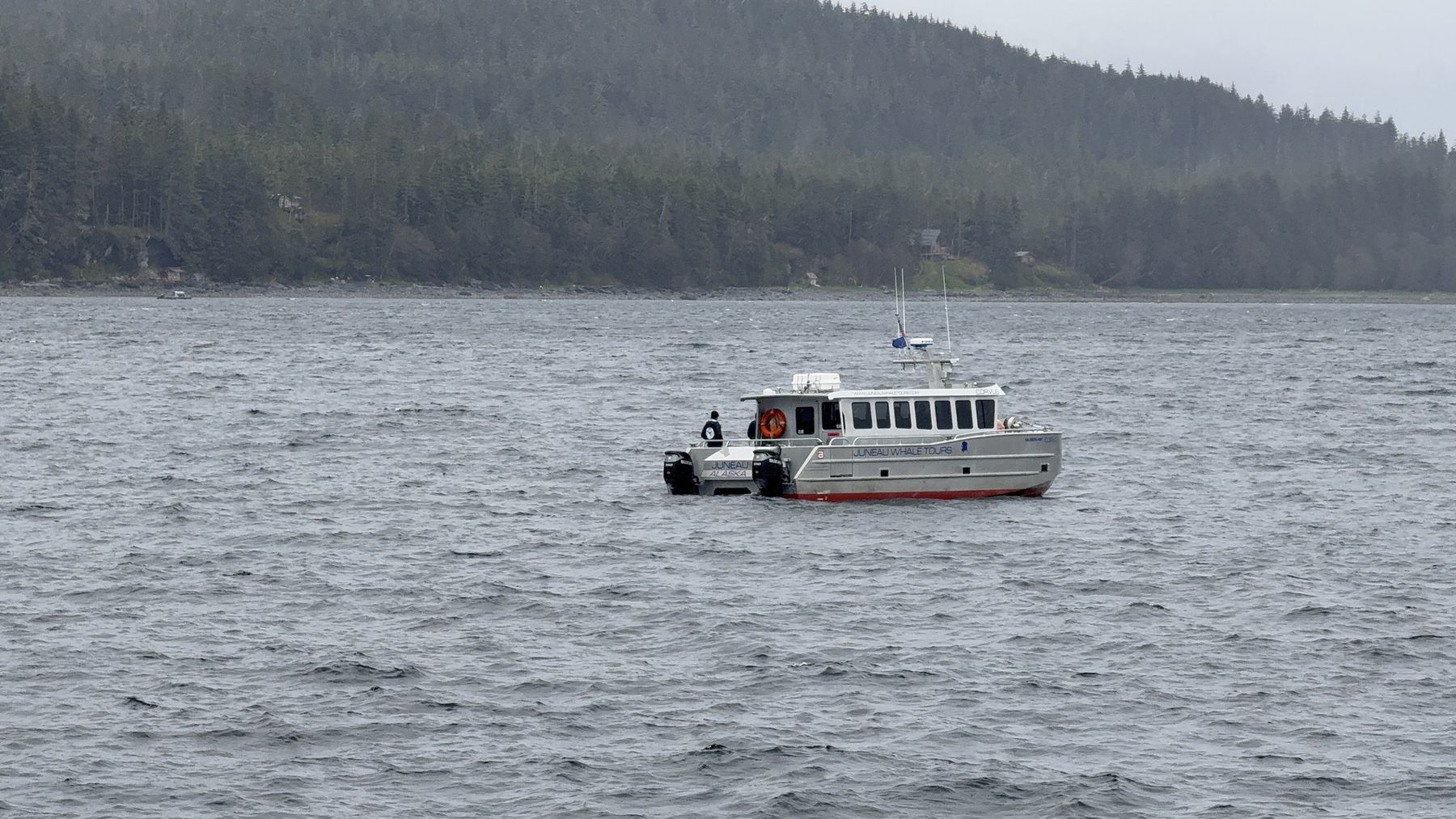 A whale-watching boat in the water off Juneau