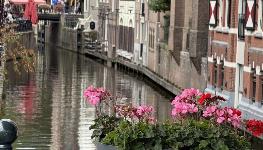 Flowers on a canal bridge in Amsterdam
