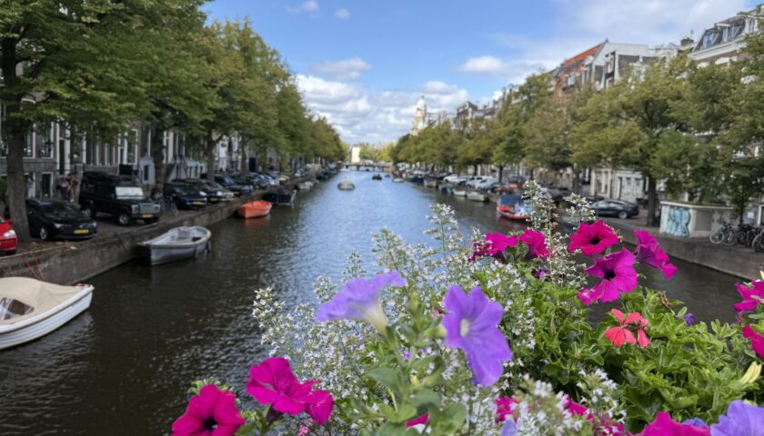 An Amsterdam canal on a summer port day