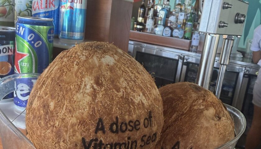 Fresh coconuts stamped A dose of Vitamin Sea at the Beach Club at Bimini
