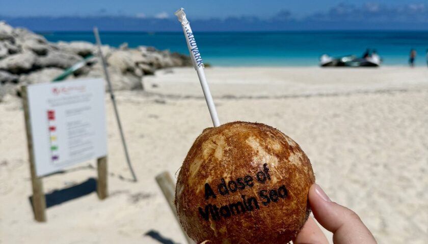 A fresh coconut on the beach at Bimini