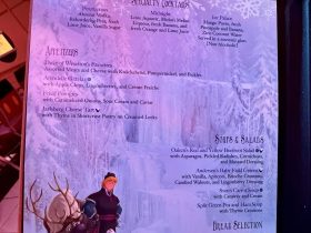 Disney Fantasy Frozen Dinner 1 (September 2025)