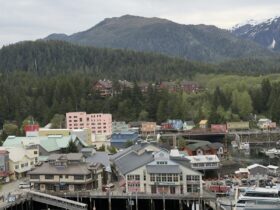Ketchikan harbour and downtown with forested mountains behind
