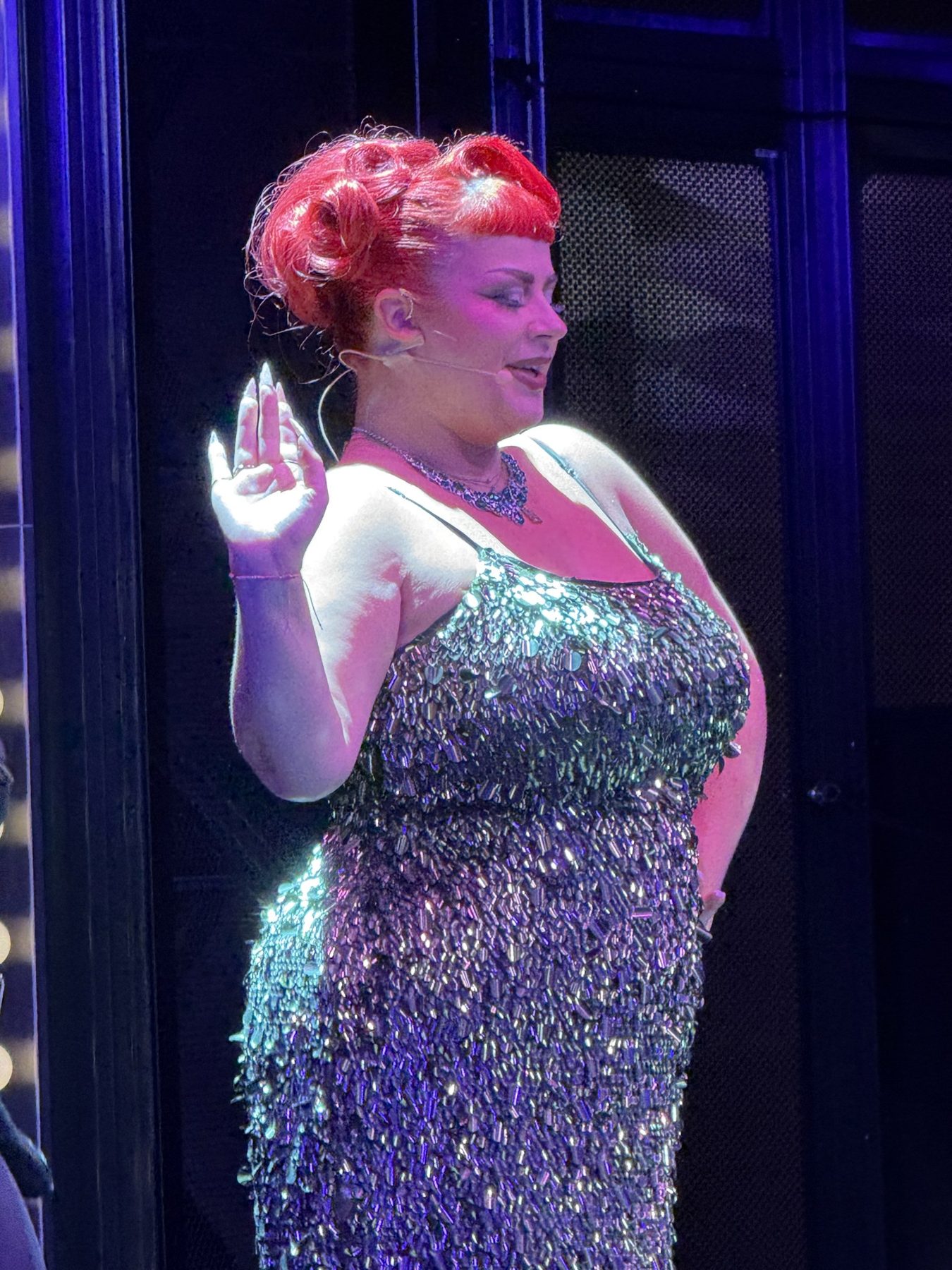 A performer in a sequinned dress on stage on Resilient Lady