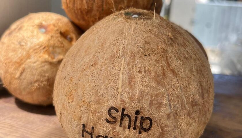 Coconuts stamped Ship Happens at the Beach Club at Bimini