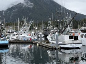 Fishing boats in Sitka harbour with a cloud-topped mountain behind