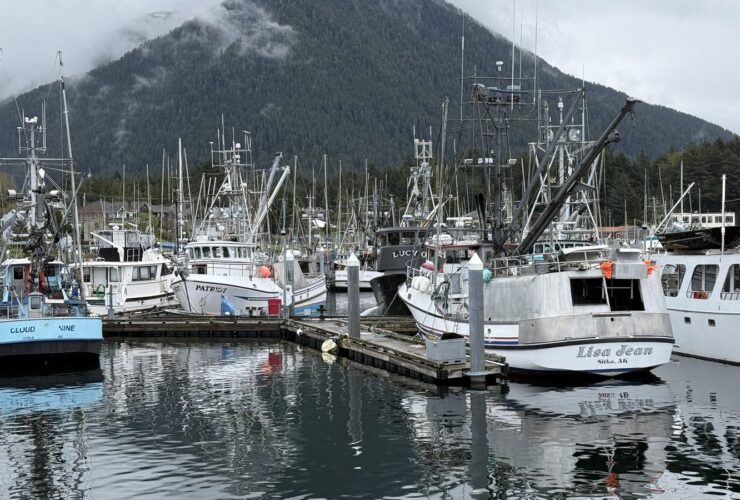 Fishing boats in Sitka harbour with a cloud-topped mountain behind