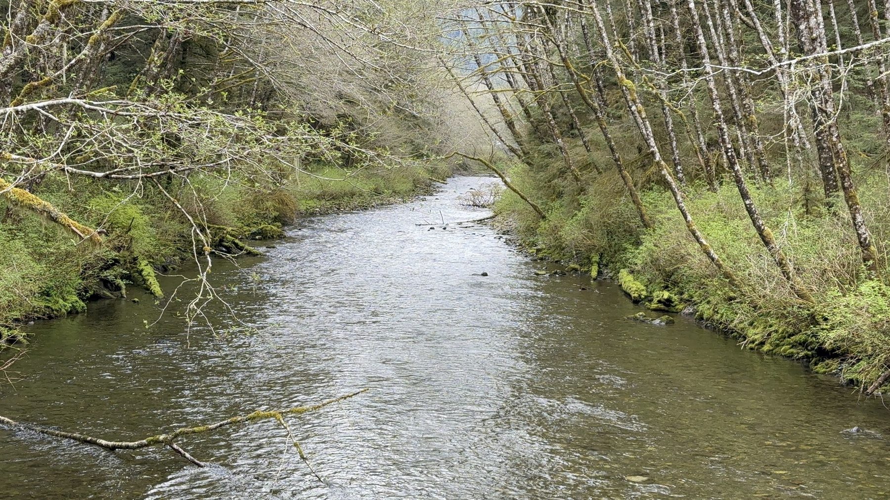 The Indian River in Sitka National Historical Park