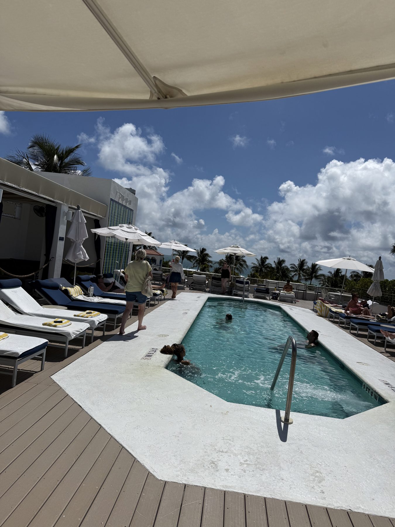 The rooftop pool at The Tony Hotel, South Beach