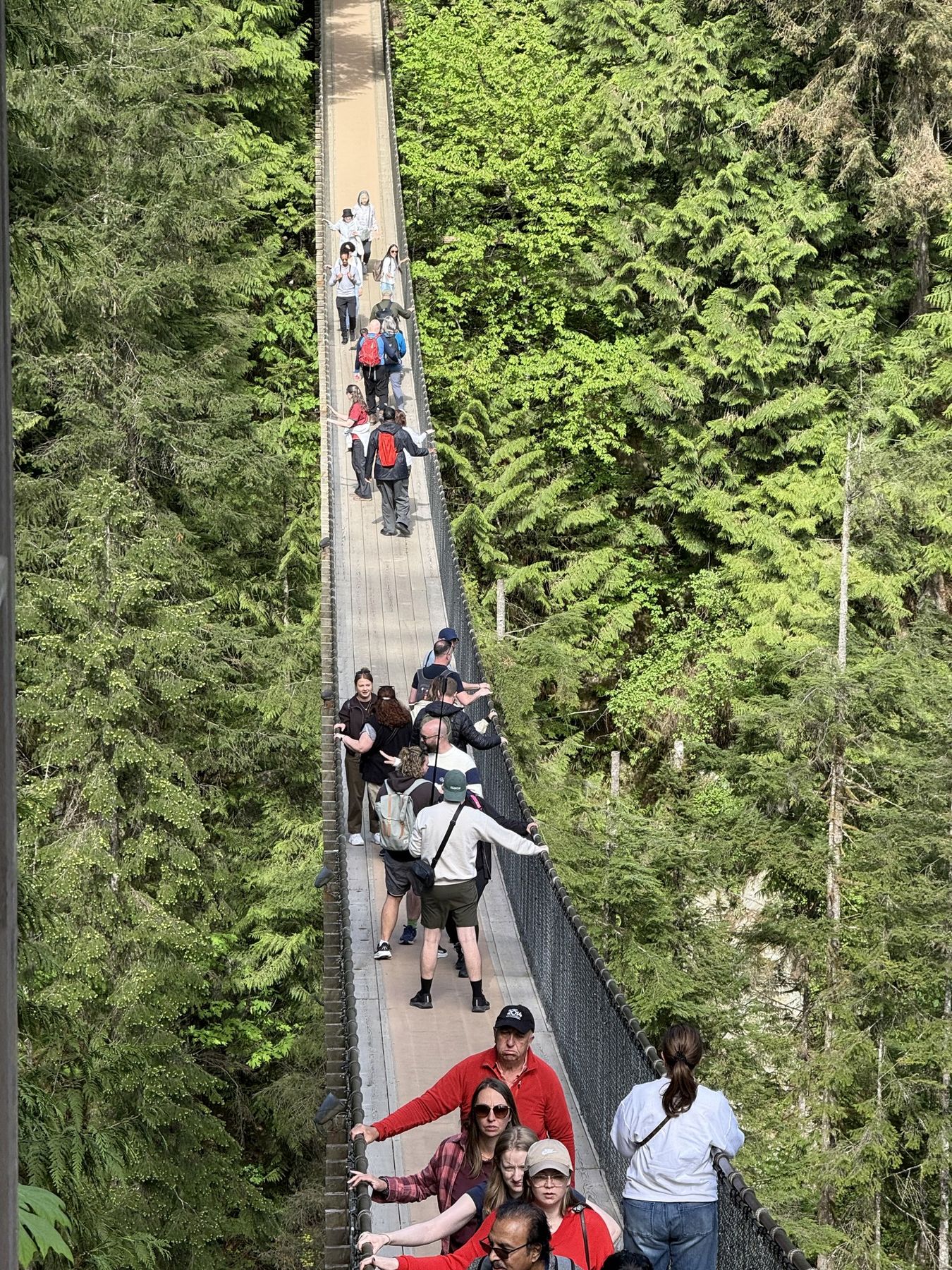 Visitors crossing the Capilano Suspension Bridge